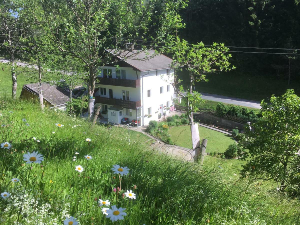 Ginnys Place Kotschach-Mauthen 外观 照片